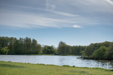 lake in the forest