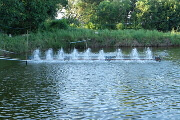 Aeration machine in the shrimp pond of farmers.
