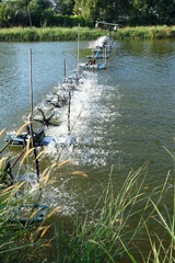 Aeration machine in the shrimp pond of farmers.
