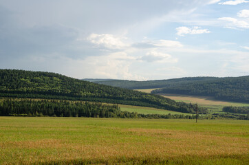 Fototapeta na wymiar Landscape with green hills. Summer landscape with fields of grass and forest.