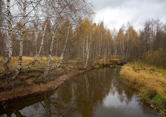 Vezloma river in the Nizhny Novgorod region in the autumn morning