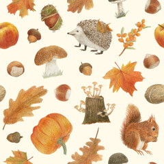 Hand drawn autumn pattern colored pencils with a sitting squirrel, a hedgehog, mushrooms, nuts and leaves.