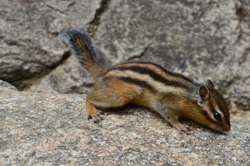 Climbing Seoraksan mountain in the Taebaek mountain range in the Gangwon Province outside of Sokcho, South Korea