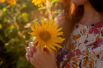 The girl has a sunflower in her hands