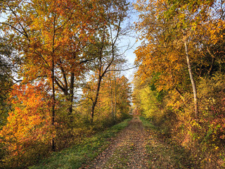 Fototapeta na wymiar Herbstliche Farben im Taubertal bei Röttingen
