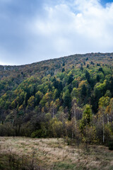 Fototapeta na wymiar River in the mountains with pebbles in autumn