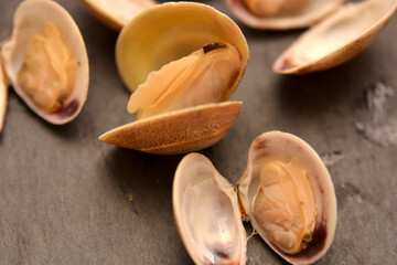 vongole veraci frutti di mare del mare mediterraneo