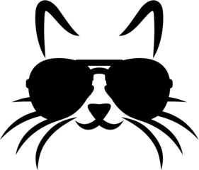 Vector illustration of the cat with sunglasses