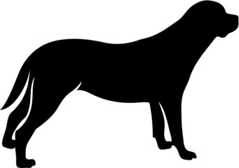 Vector illustration of the Rottweiler silhouette