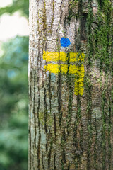 Marquage de sentier de petite randonné (double jaune) sur arbre. Ecorce avec mousse, fond vert.