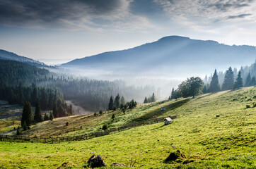 Morning mood in Transylvania mountains