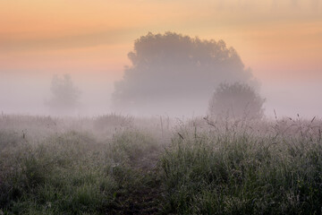 misty sunrise over fields and meadows