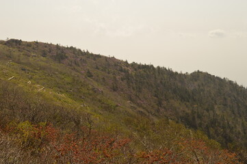 Fototapeta premium Hiking in the colorful Seoraksan Mountains in South Korea, Asia