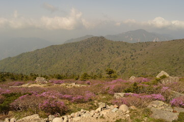 Hiking in the colorful Seoraksan Mountains in South Korea, Asia