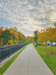 Golden lined sidewalk in Maryland