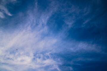 Błękitne niebo z chmurami i ptakiem.