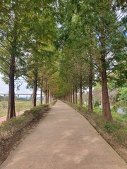 traditional flower view background 