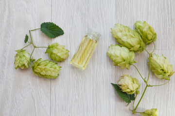 hop cones, Humulus essential oi container, tincture, on wooden background. Top view