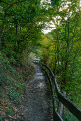 Uferweg am Rur-Staubecken bei Heimbach