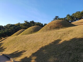 Naklejka premium traditional flower view background 