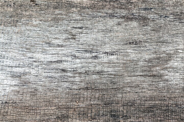 Gray wooden background of weathered distressed rustic wood