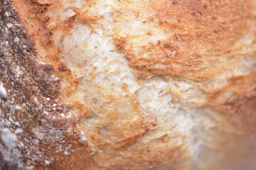 ハード系パンの外皮のクローズアップ