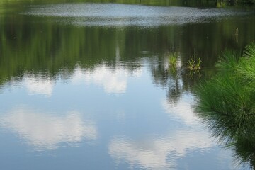 Trees and sky reflection in the river, natural water surface