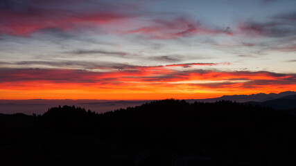 Dramatic red sky on dark woodland