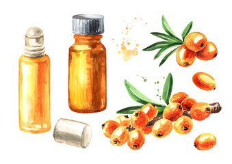 Bottle of Sea buckthorn oil and ripe berries set. Hand drawn watercolor illustration isolated on white background