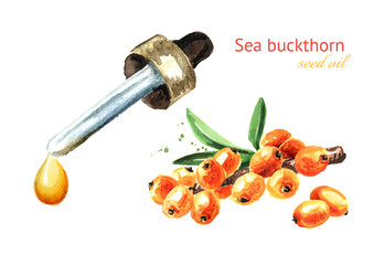 Sea buckthorn oil drop and ripe berries. Hand drawn watercolor illustration isolated on white background