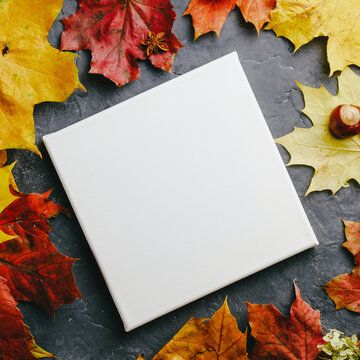 White blank canvas and autumn leaves on dark grey background. Mockup poster, autumn concept.