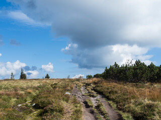 Paysage de Montage, Gazon du Faing, Vosges, France