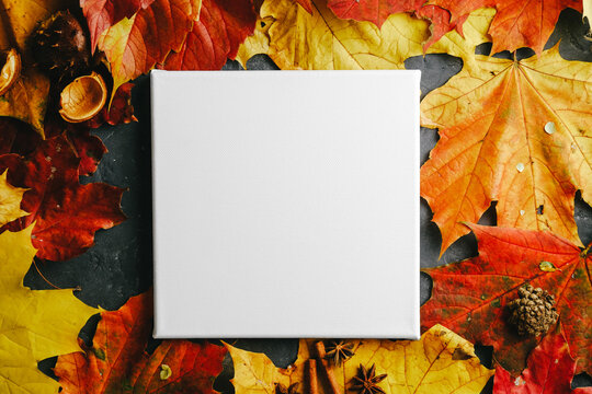 Mockup poster frame, autumn concept. Square blank canvas and autumn maple leaves.