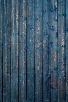 Holz