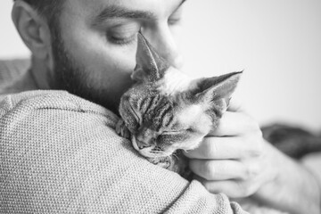 Close-up of cat and man. Portrait of a Devon Rex kitten and young beard guy. Handsome animal-lover man is hugging and cuddling his little kitty. Snuggling feline.
