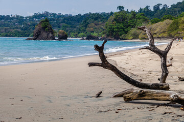 Fototapeta premium The overwhelming beauty of the flora and fauna of Costa Rica. Photos taken during a tour through this beautiful country, 