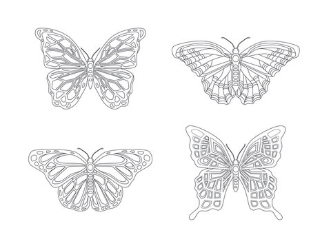 Butterfly set isolated on a white background. Vector illustration. Big butterflies collection. Lines and contours for coloring. Realistic. Cute simple cartoon design. Flat style.