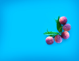 Peaches and peachtree leaves against the blue background