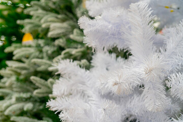 Naklejka na ściany i meble Branches of a white Christmas tree. Sale of Christmas trees in the supermarket. Christmas background.