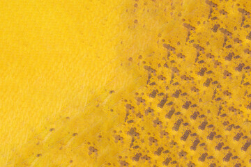Yellow and green autumn leaf texture