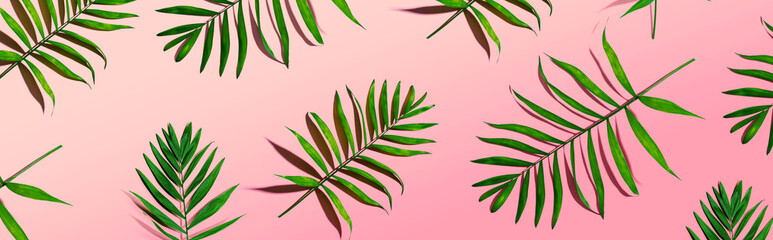 Tropical palm leaves from above - flat lay