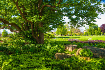 Berggarten Hannover