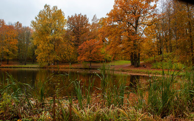 Beautiful autumn landscape. Park with a pond