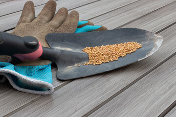 gardening gloves, tools and seeds on wood