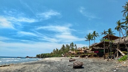 beach with palm trees
