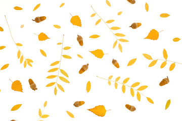 Autumnal composition made of fall leaves on white background. Flat lay. Thanksgiving day.