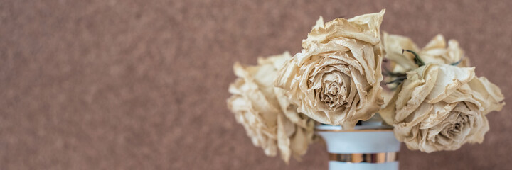 Withered or dry flowers in vase against brown cork board with copy space for text. Vintage or retro style of greeting card, rustic or bohemian invitation. Website banner for online web pages