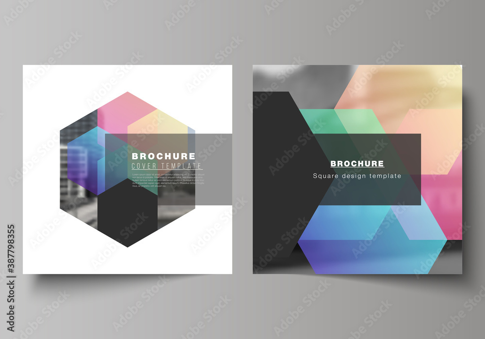Poster vector layout of two square format covers design templates with abstract shapes and colors for broch