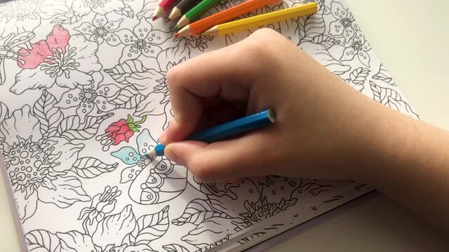 Someones young hand is painting patterns of anti-stress coloring book with blue pencil, and colored pencils are next to them. Zen art, doodle patterns black and white. Zen tangle, coloring books 