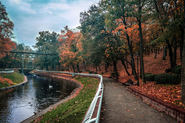 Autumn landscape in the city park. Pond and yellow-red falling Maple leaves. Cloudy weather in a beautiful autumn park
